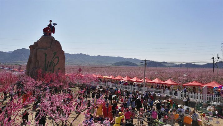 1492740437897387.jpg 6.jpg