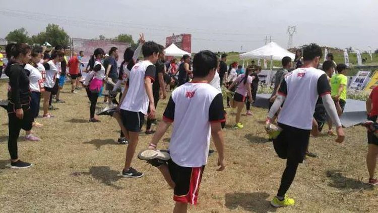 1498206199608742.jpg 10.jpg