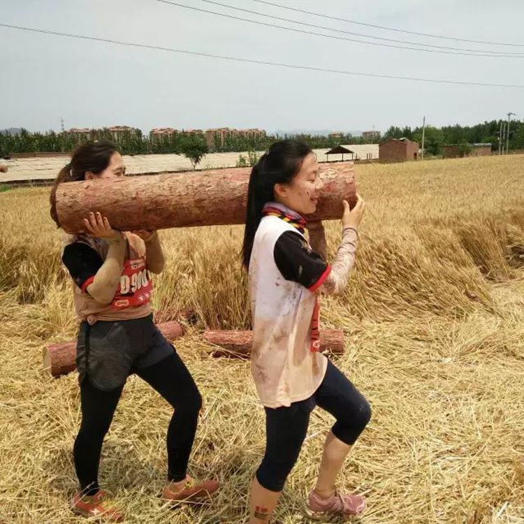 1498206406777984.jpg 15.jpg