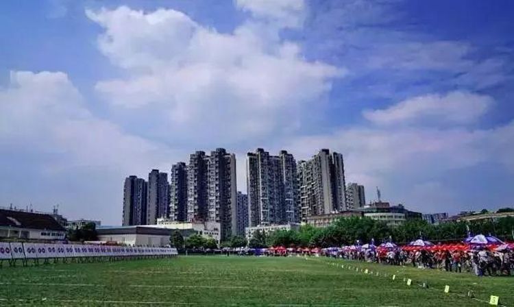 1498207998457511.jpg 4.jpg